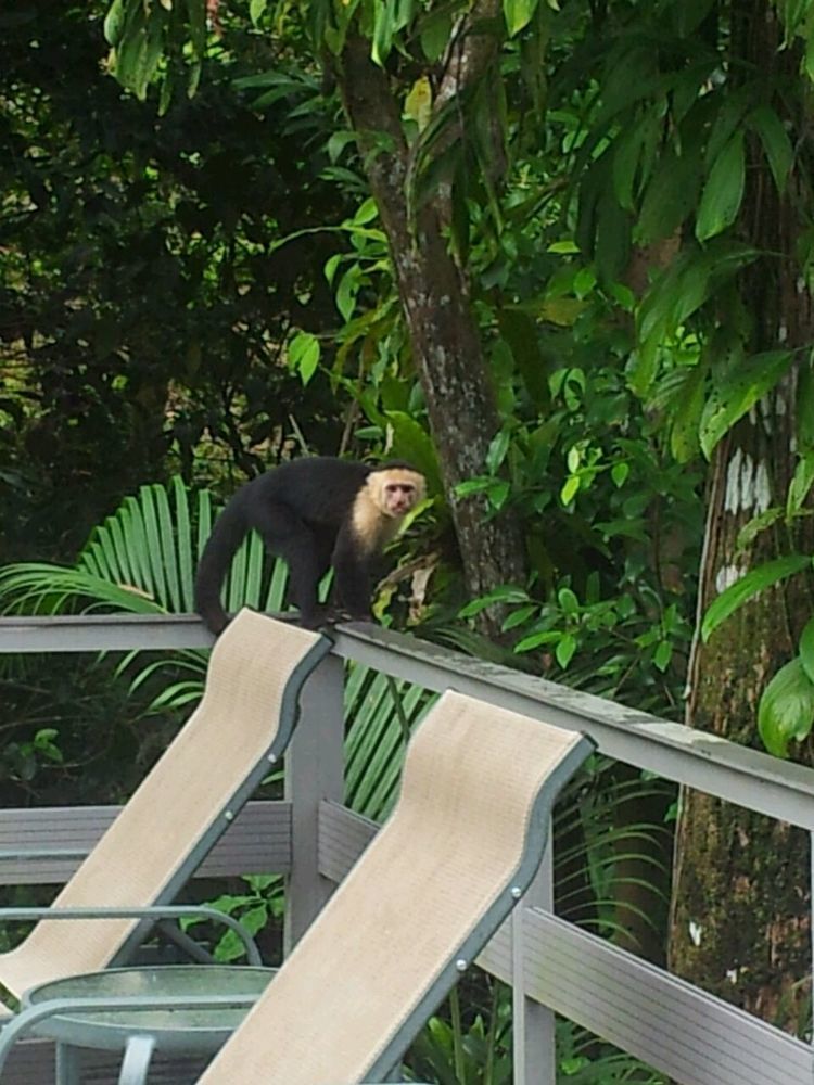 Hotel Plaza Yara Manuel Antonio Exterior foto
